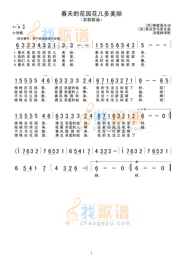 春天的花园花儿多美丽