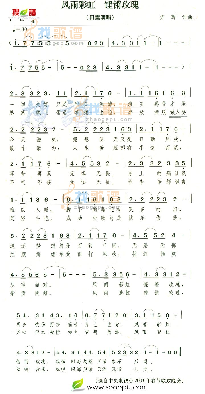 风雨彩虹,铿锵玫瑰