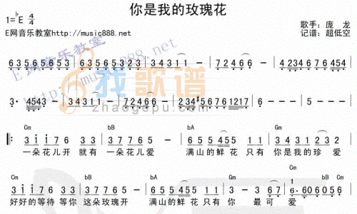 你是我的玫瑰花
