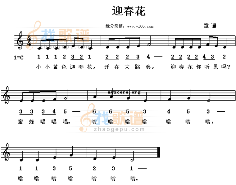 迎春花