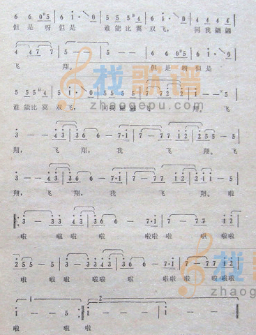 金色的阳光
