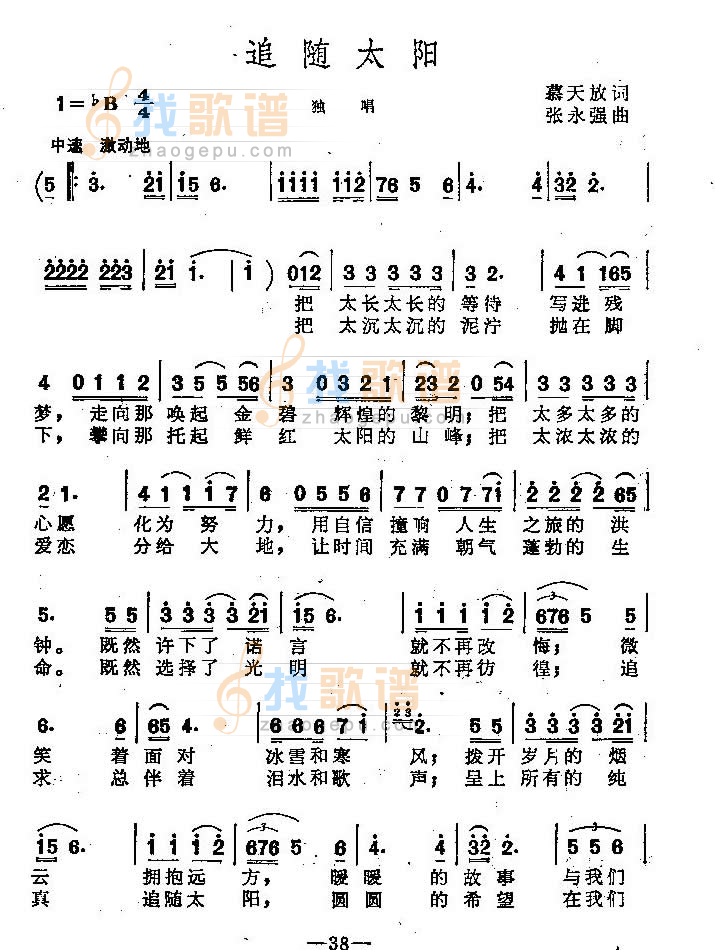 追随太阳
