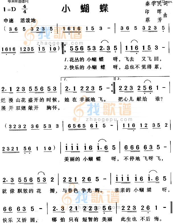 小蝴蝶