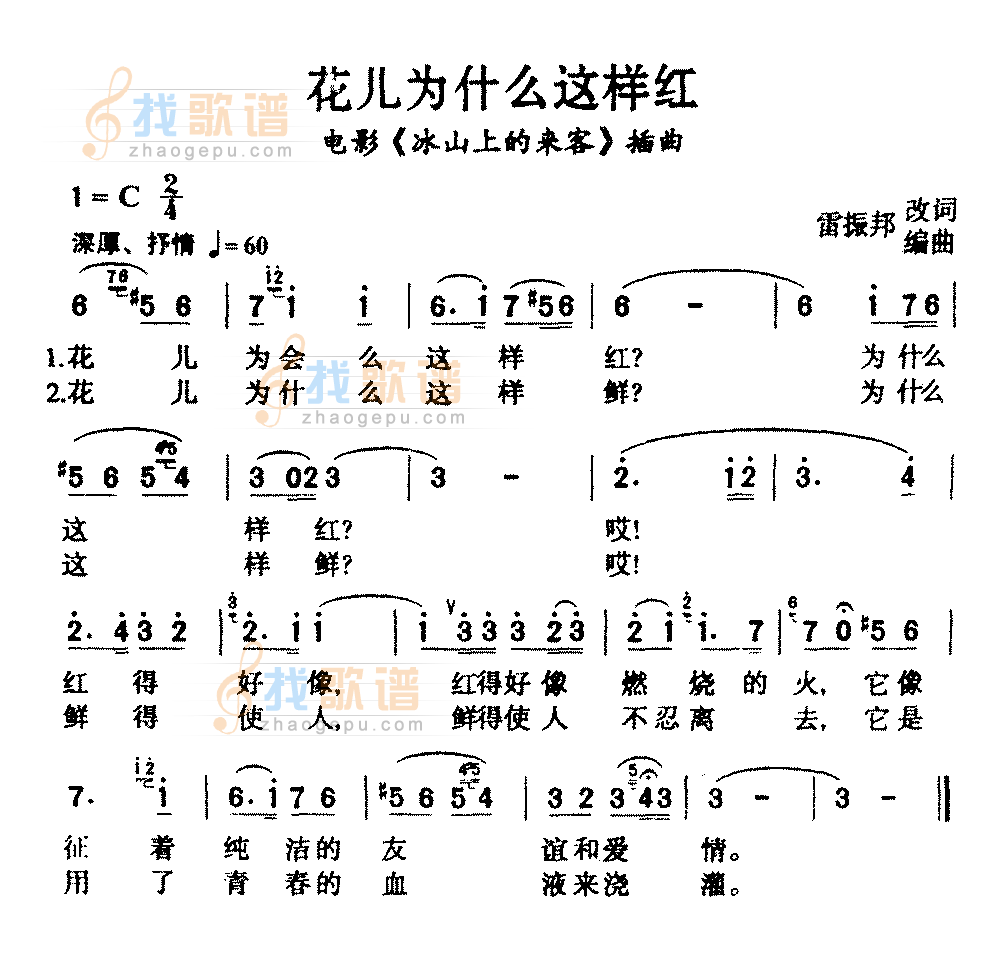 花儿为什么这样红