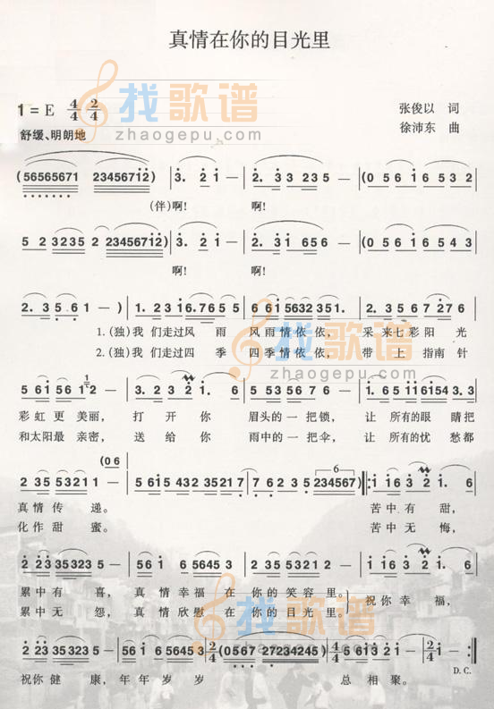 真情在你的目光里