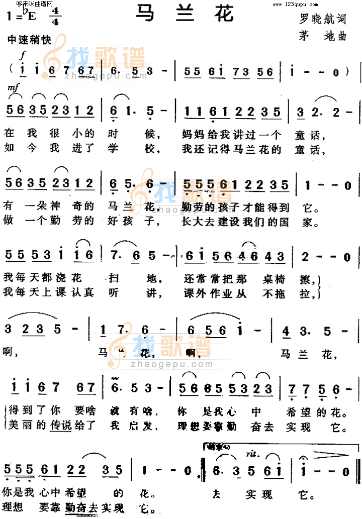 马兰花
