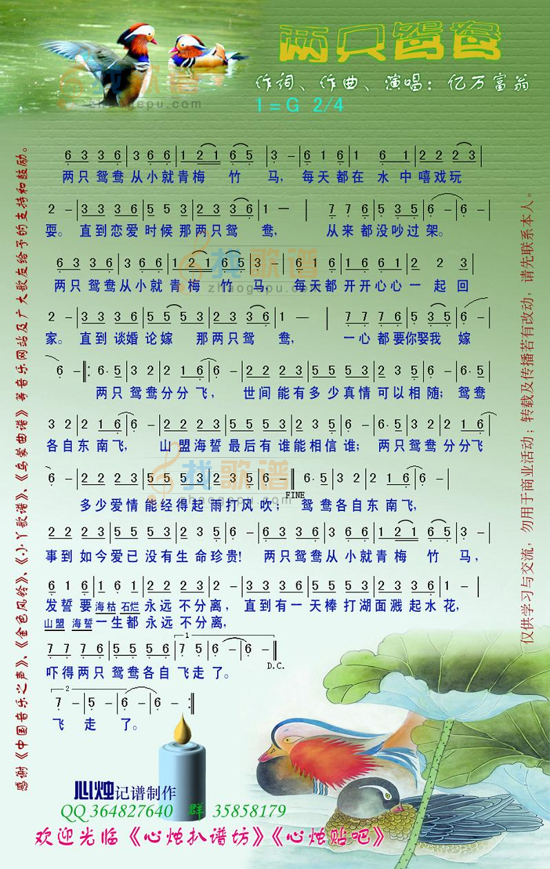 两只鸳鸯