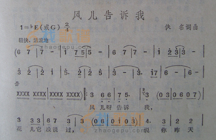 风儿告诉我