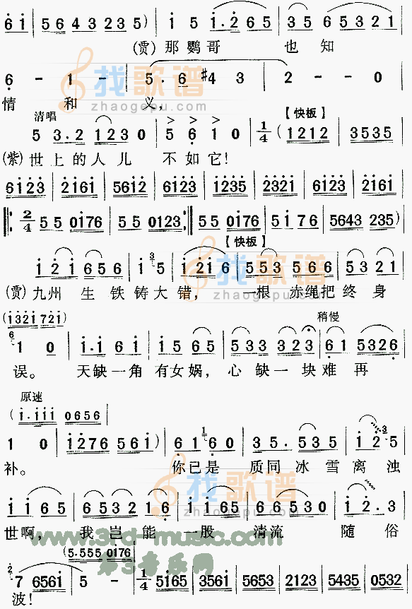 问紫鹃红楼梦