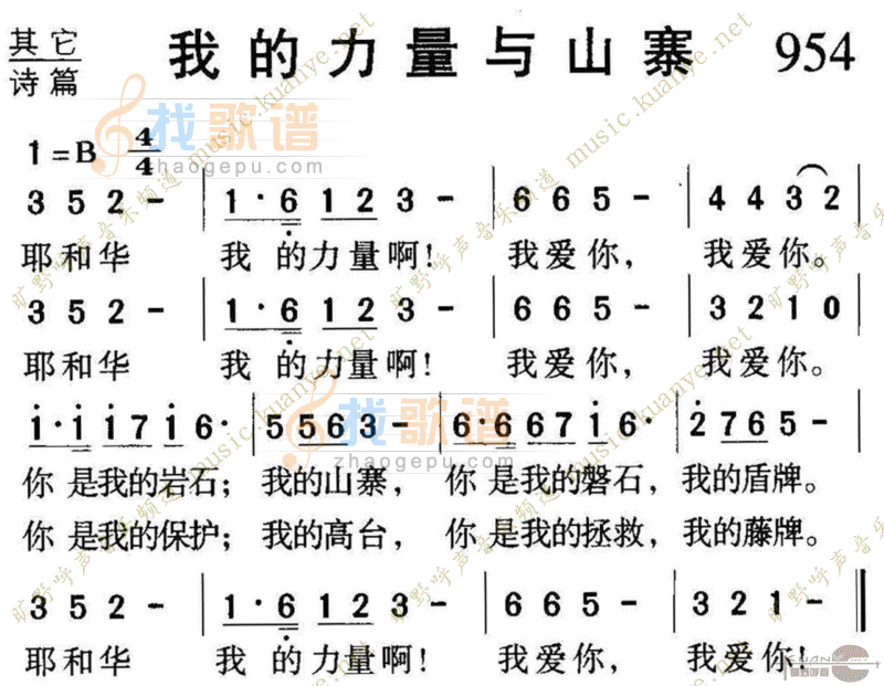 954我的力量与山寨