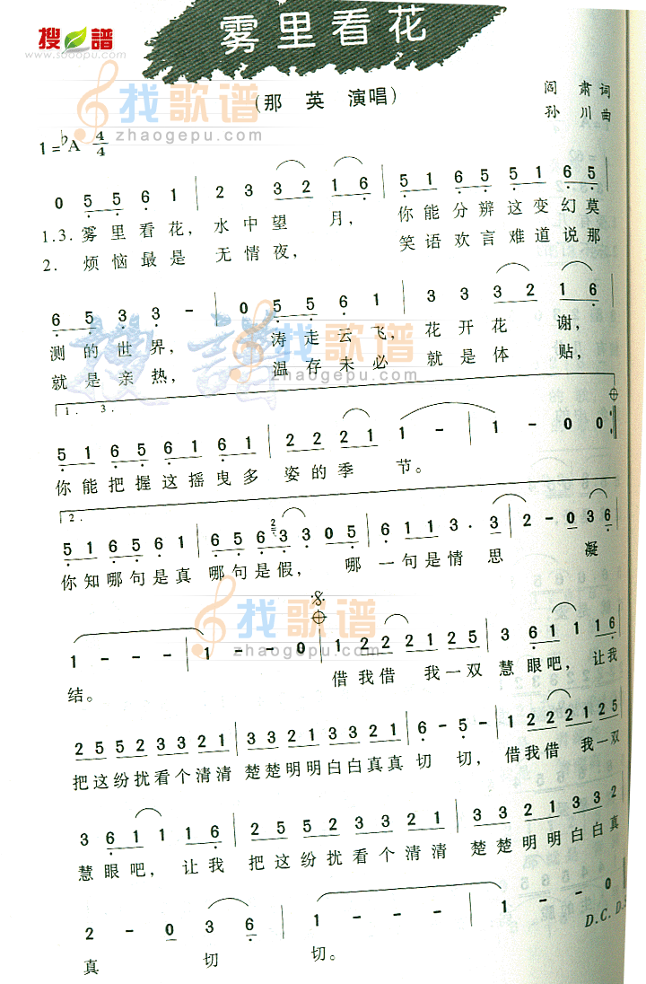 雾里看花