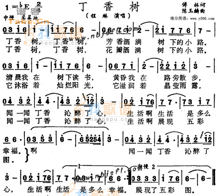 丁香树