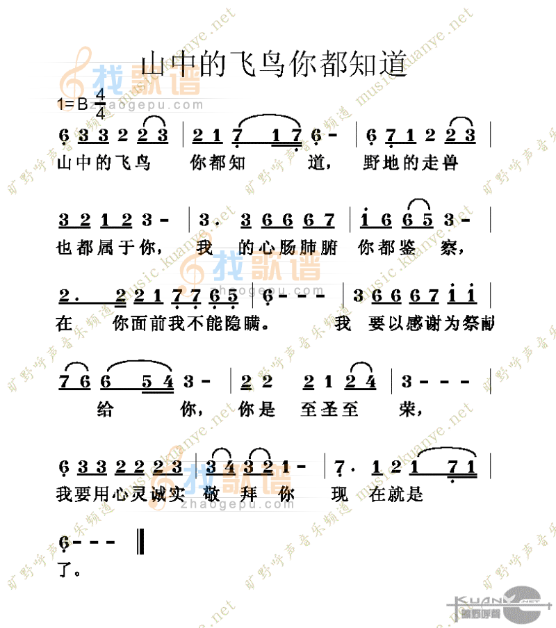 山中的飞鸟你都知道