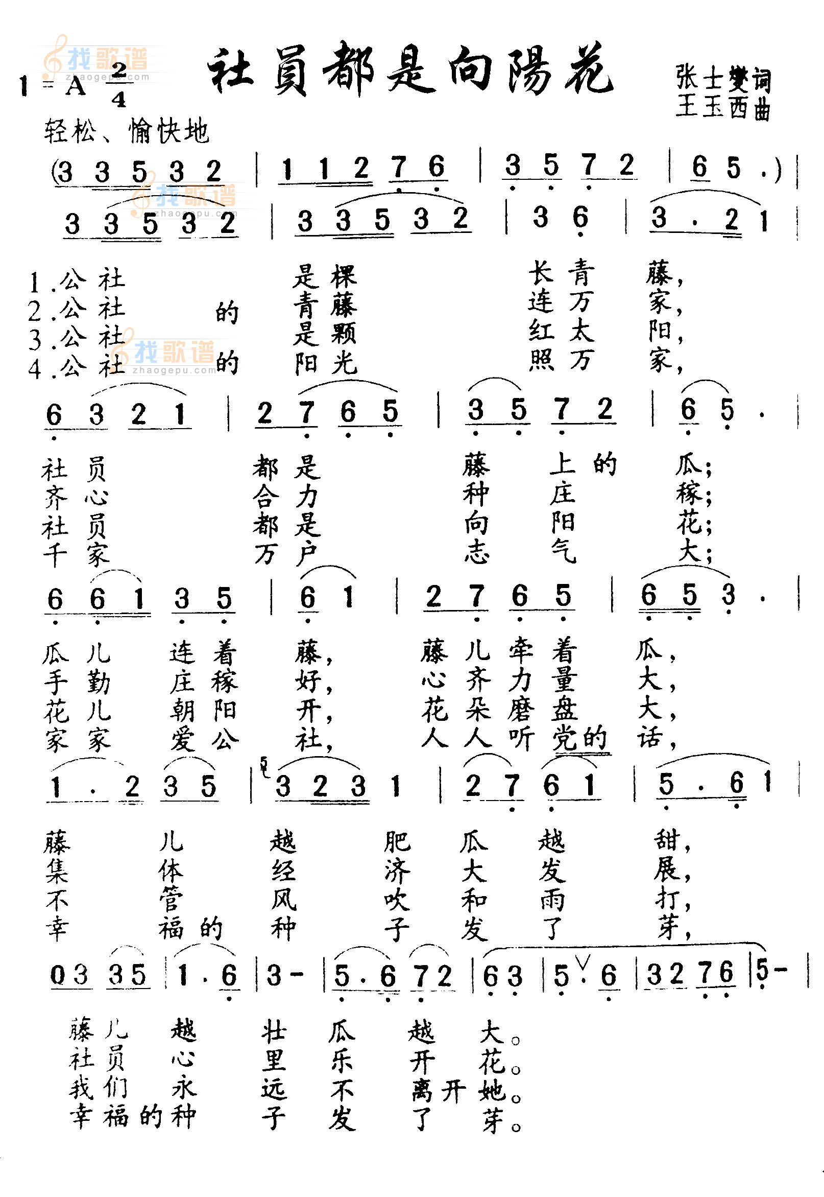 社员都是向阳花
