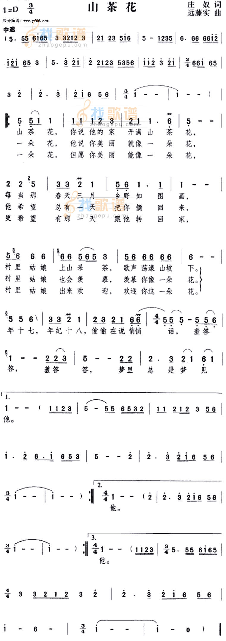 山茶花