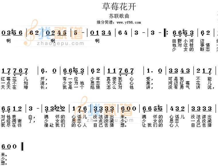 红莓花儿开
