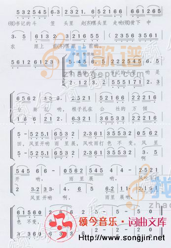 书记的斗笠金葵花（女声小组唱）