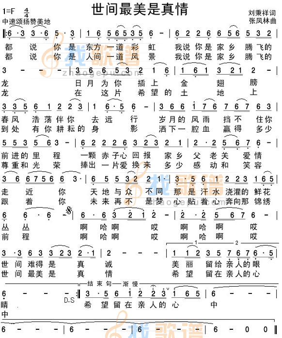 世间最美是真情,
