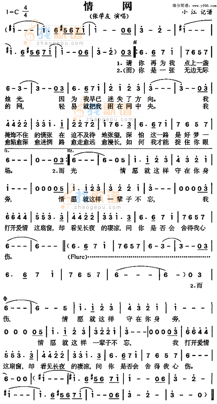 情网