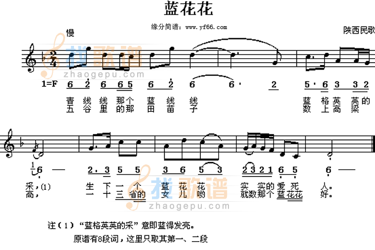 兰花花