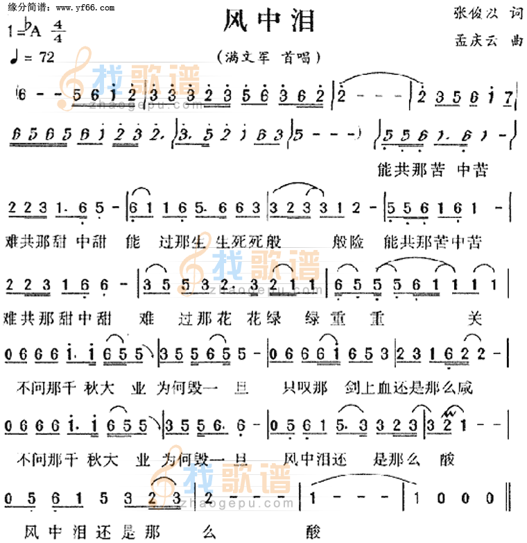 风中泪
