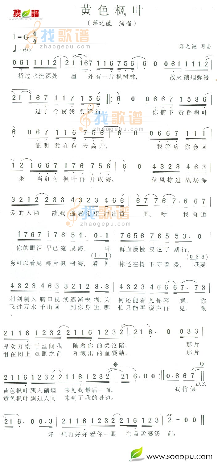 黄色枫叶
