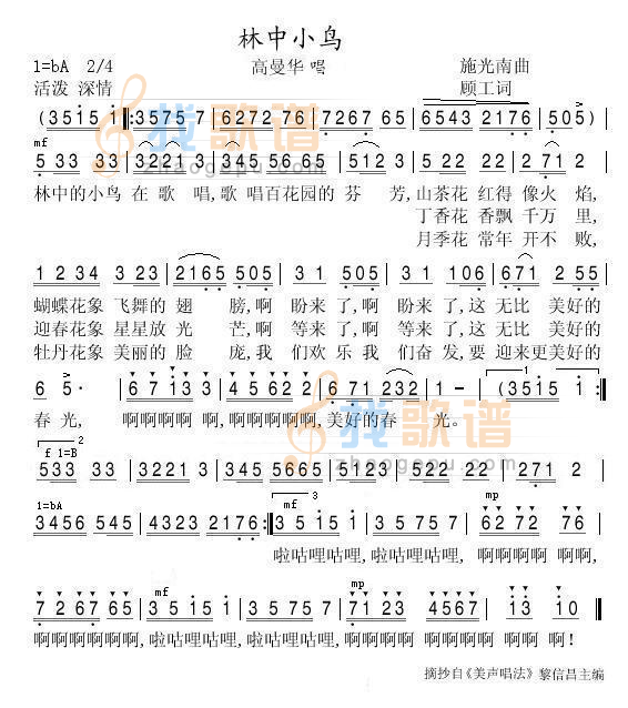 林中小鸟