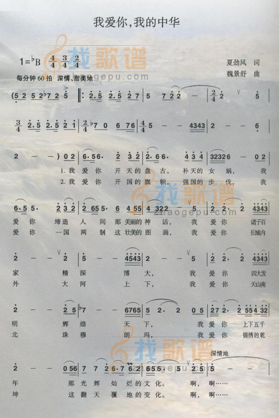 我爱你，我的中华