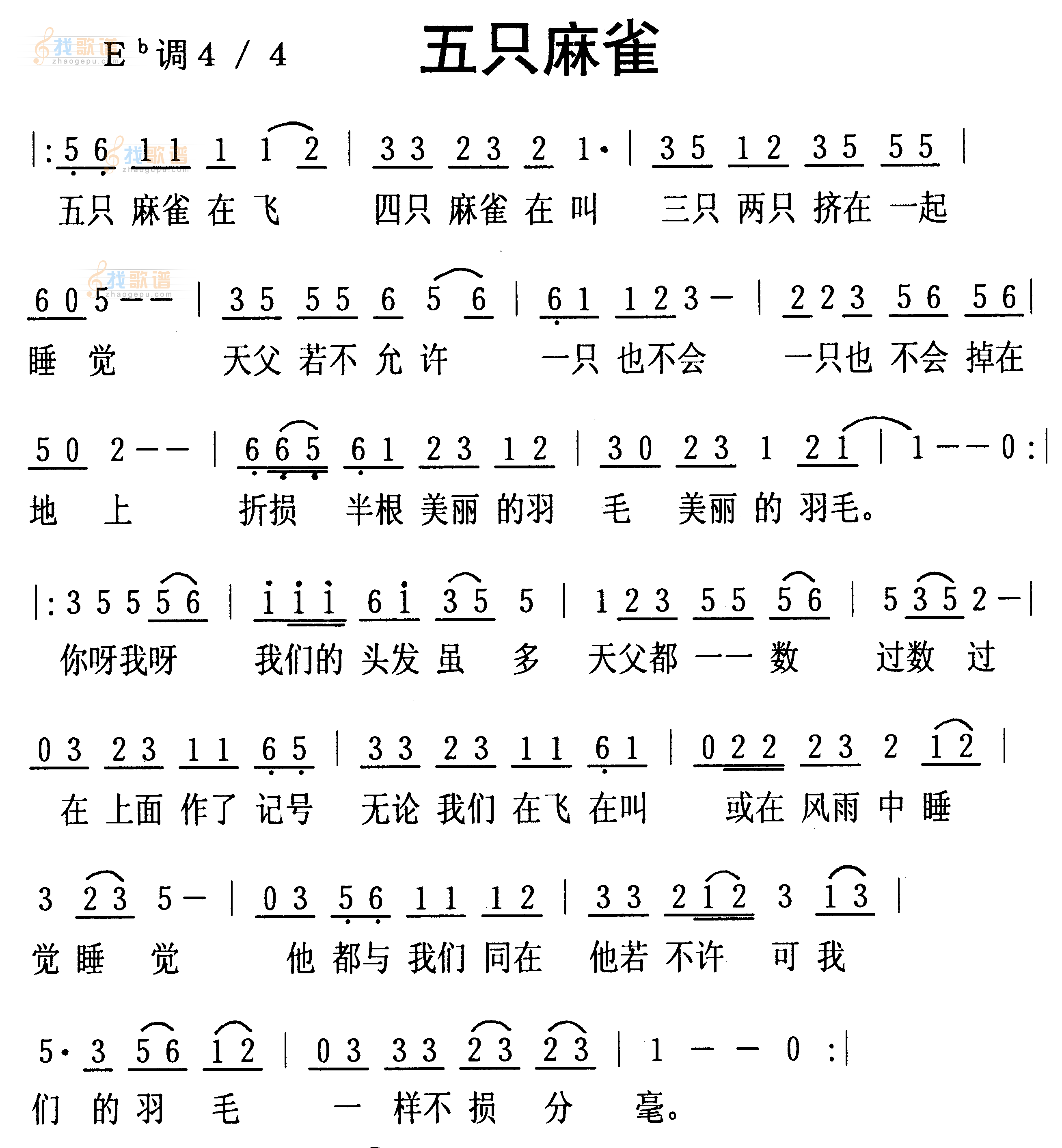 五只麻雀