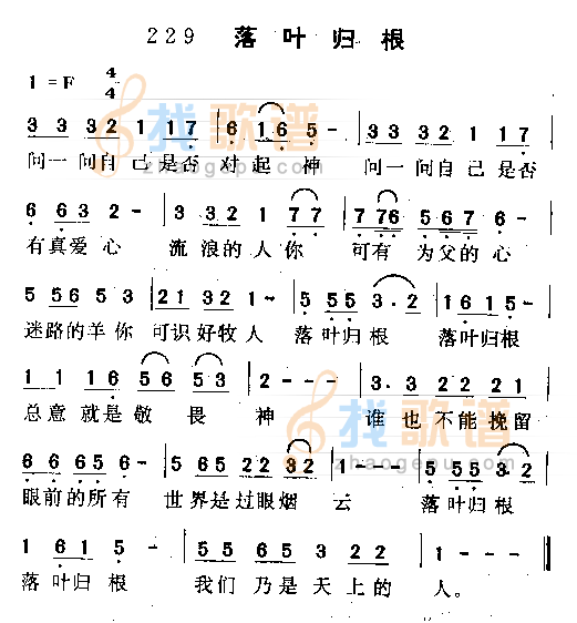 落叶归根