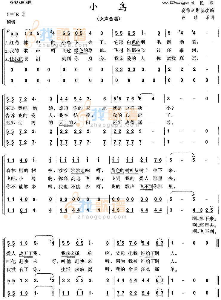 小鸟
