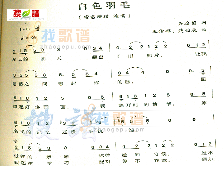 白色羽毛