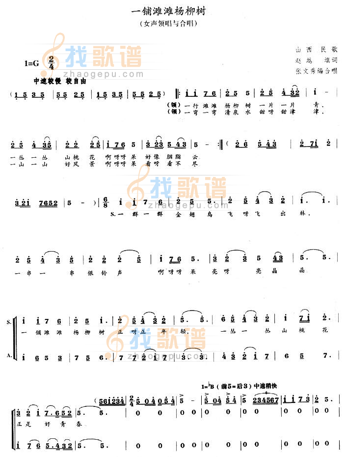 一铺滩滩杨柳树