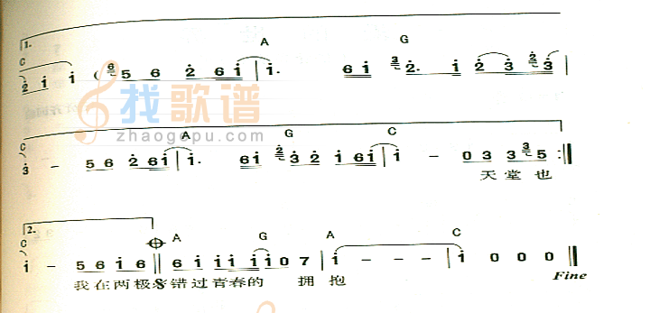 两极
