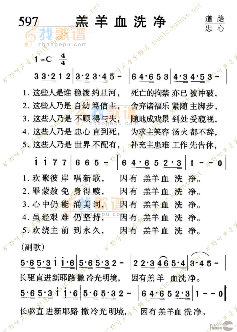 597羔羊血洗净