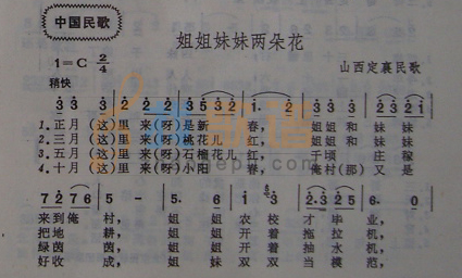 姐姐妹妹两朵花