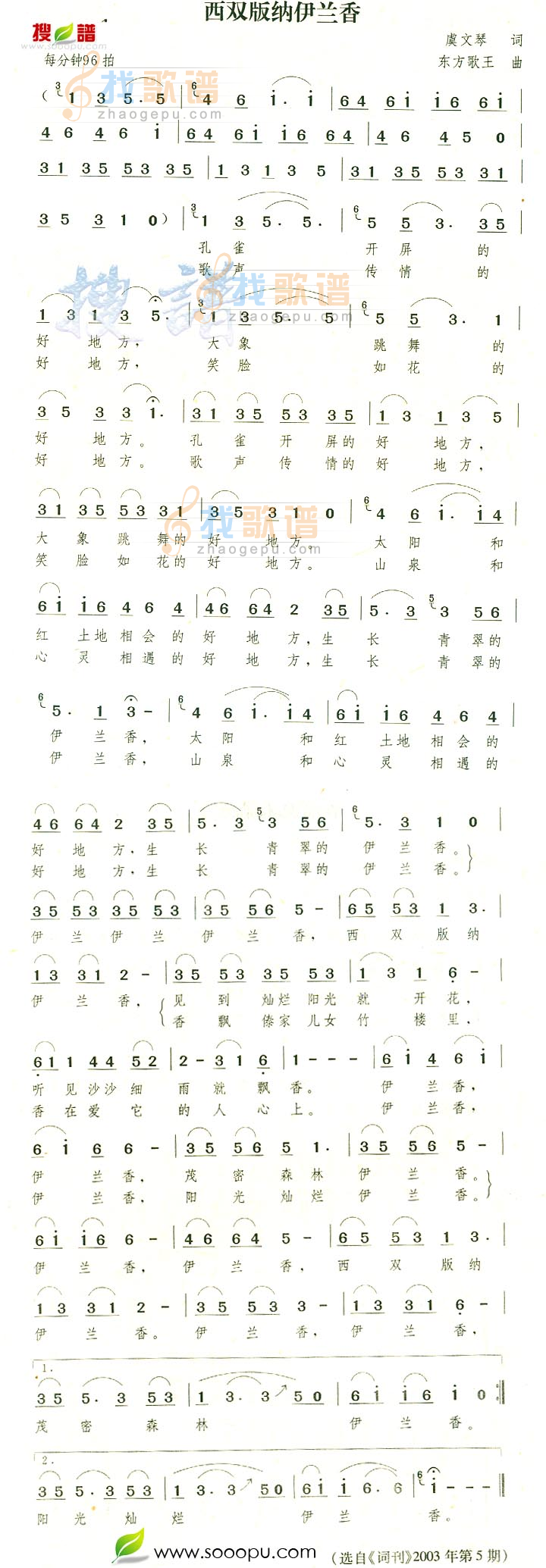 西双版纳伊兰香