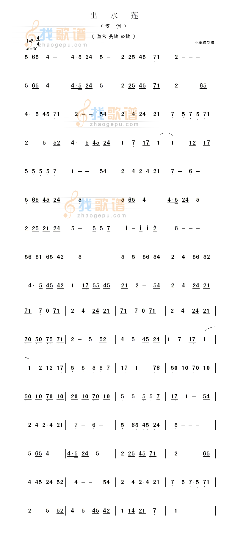 出水莲