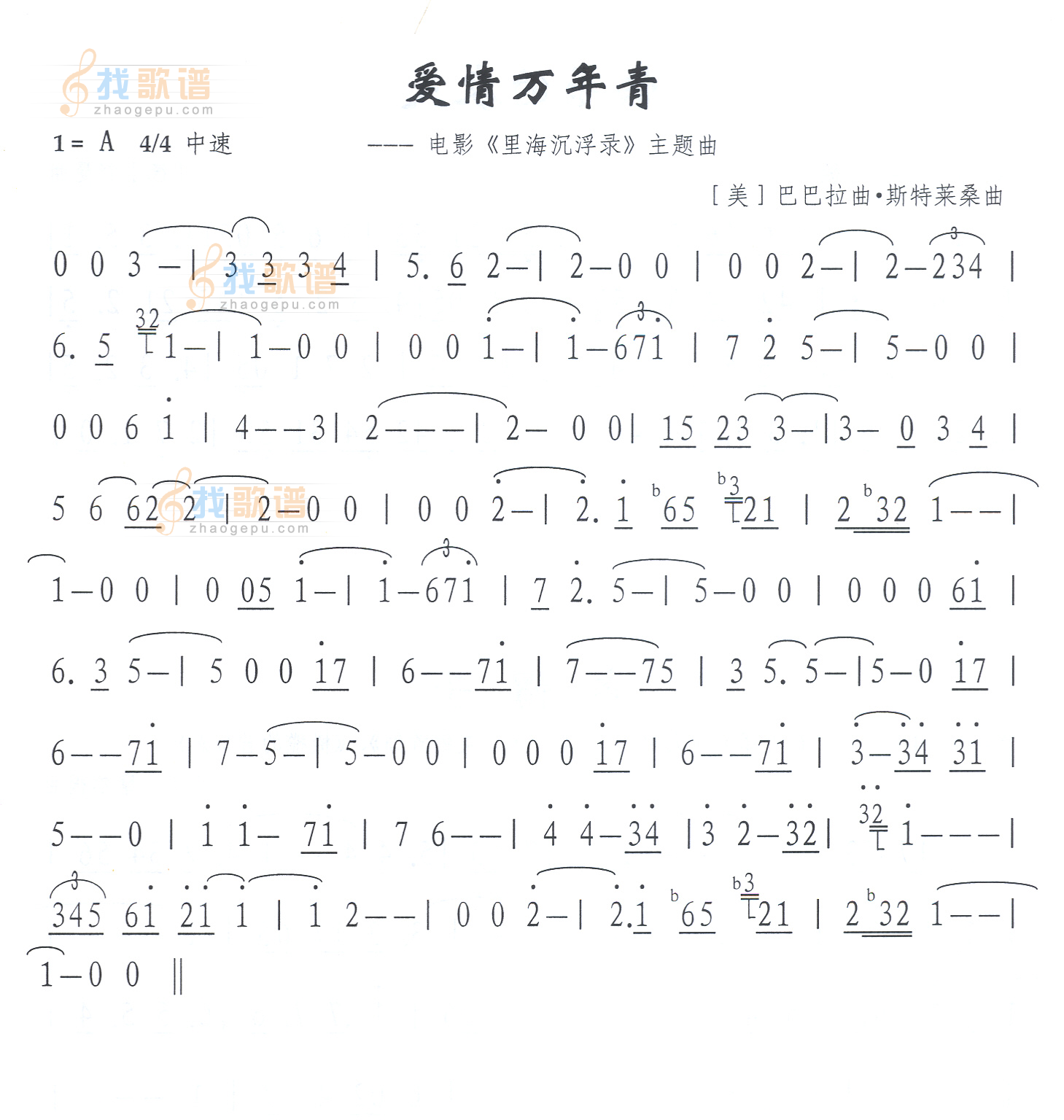 爱情万年青