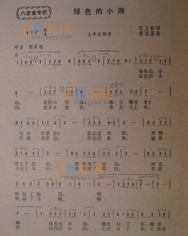 绿色的小雨