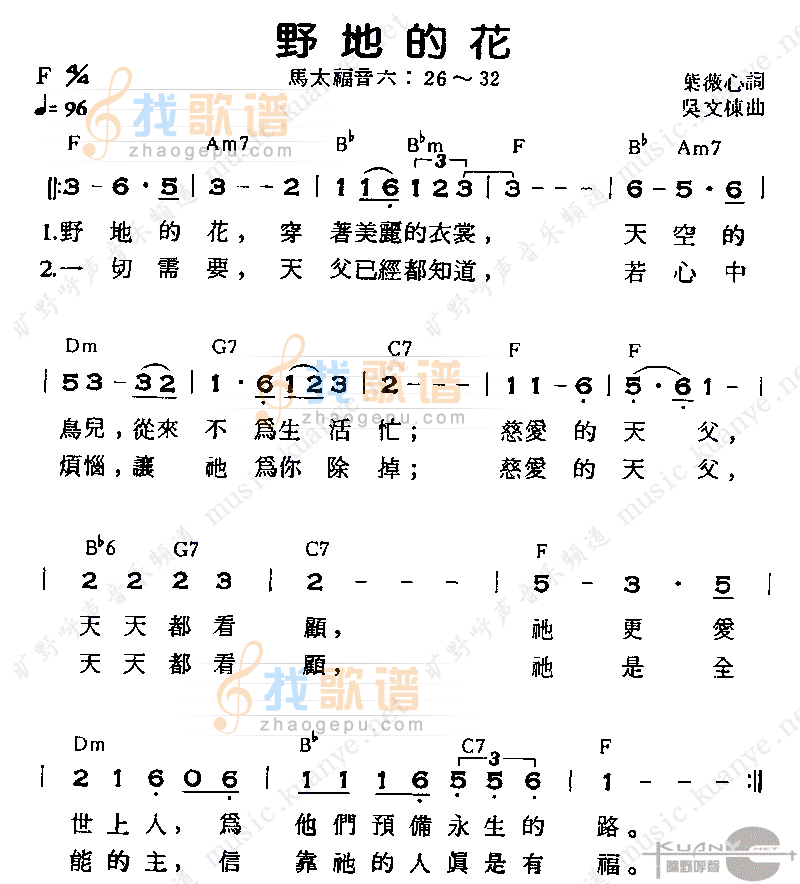 野地的花