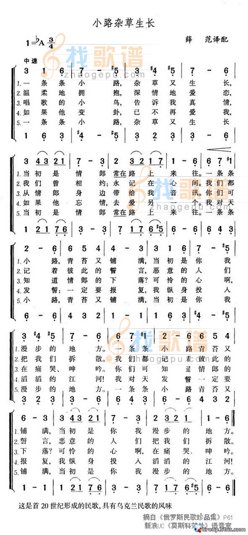 小路杂草生长