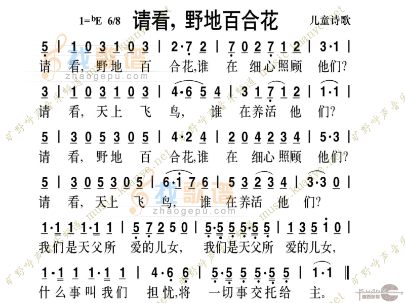看哪，野地百合花