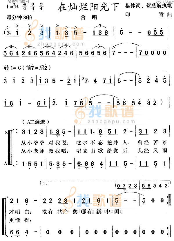 在灿烂阳光下