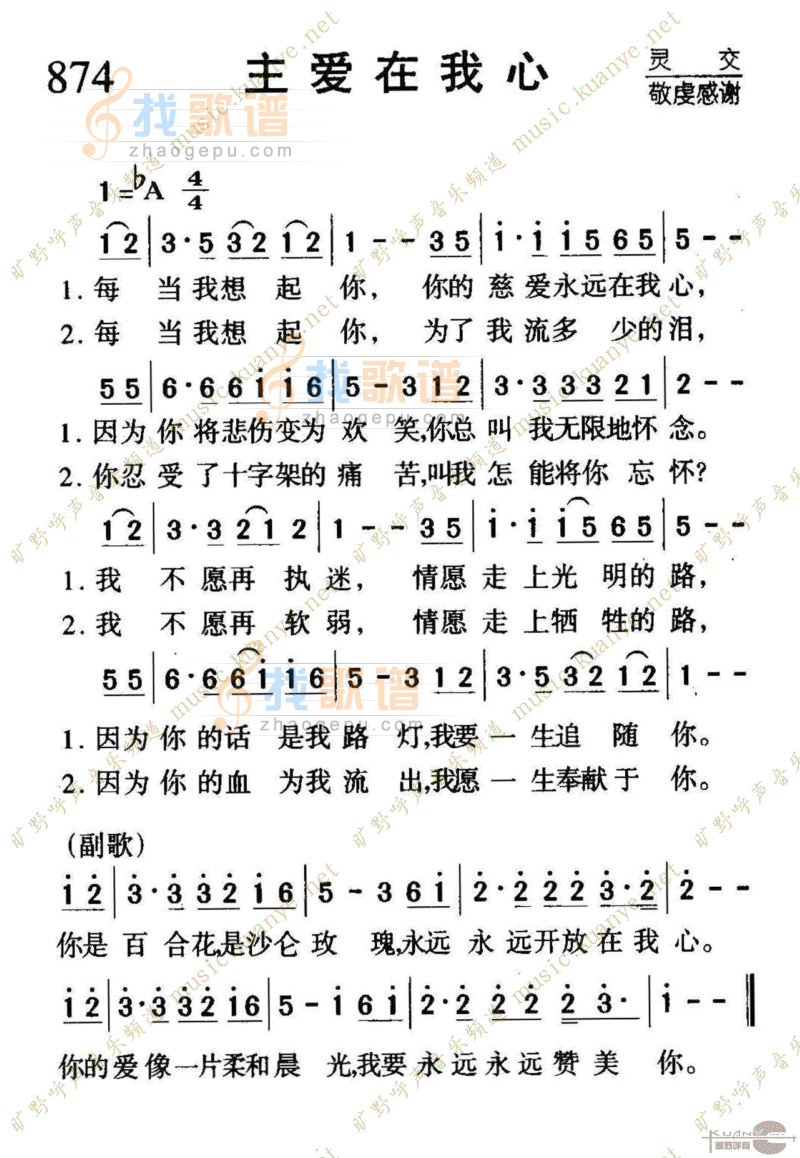 874主爱在我心