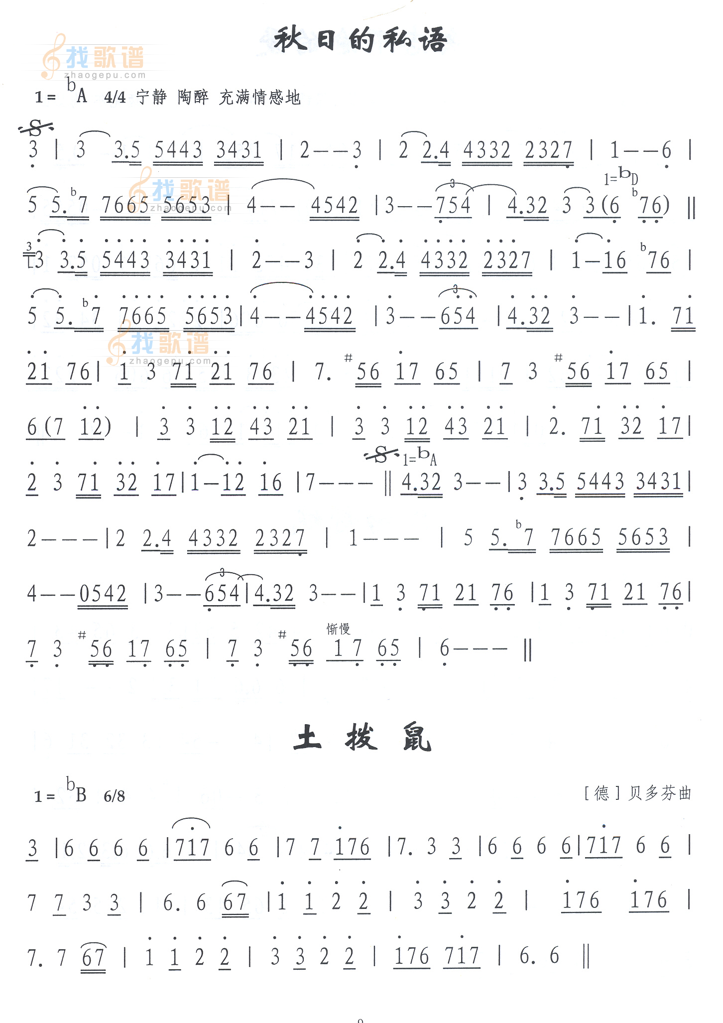 秋日的私语