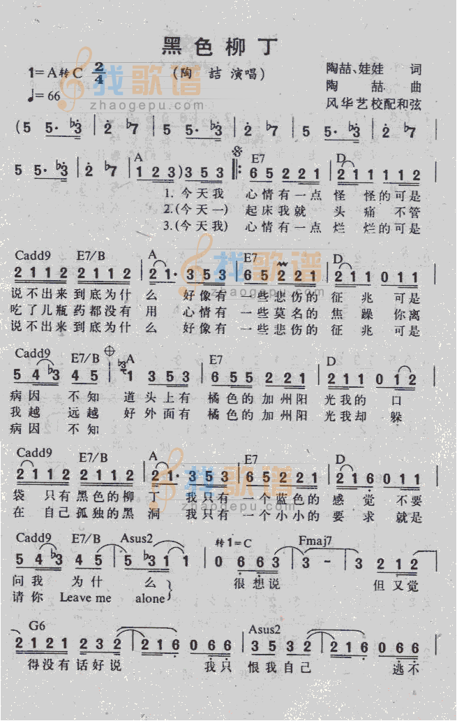 黑色柳丁