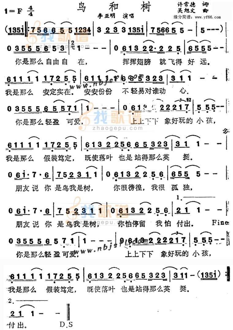 鸟和树