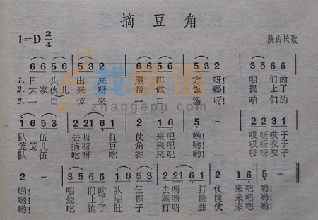 摘豆角