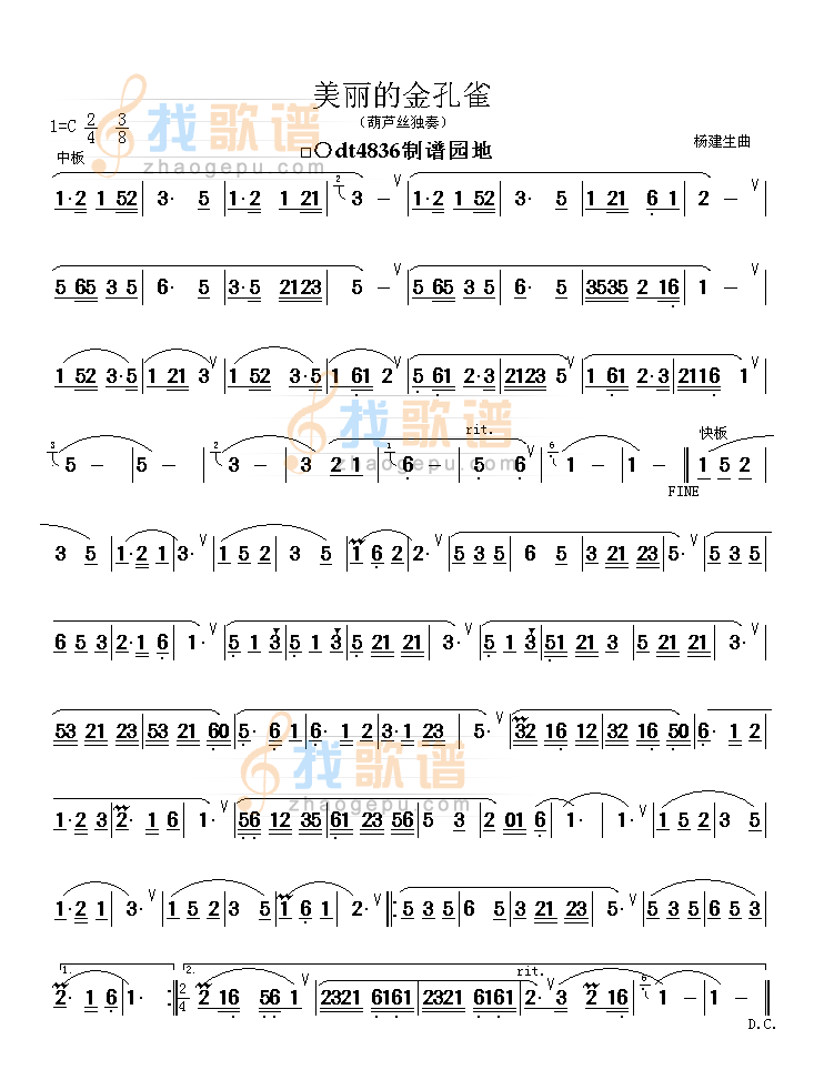 美丽的金孔雀